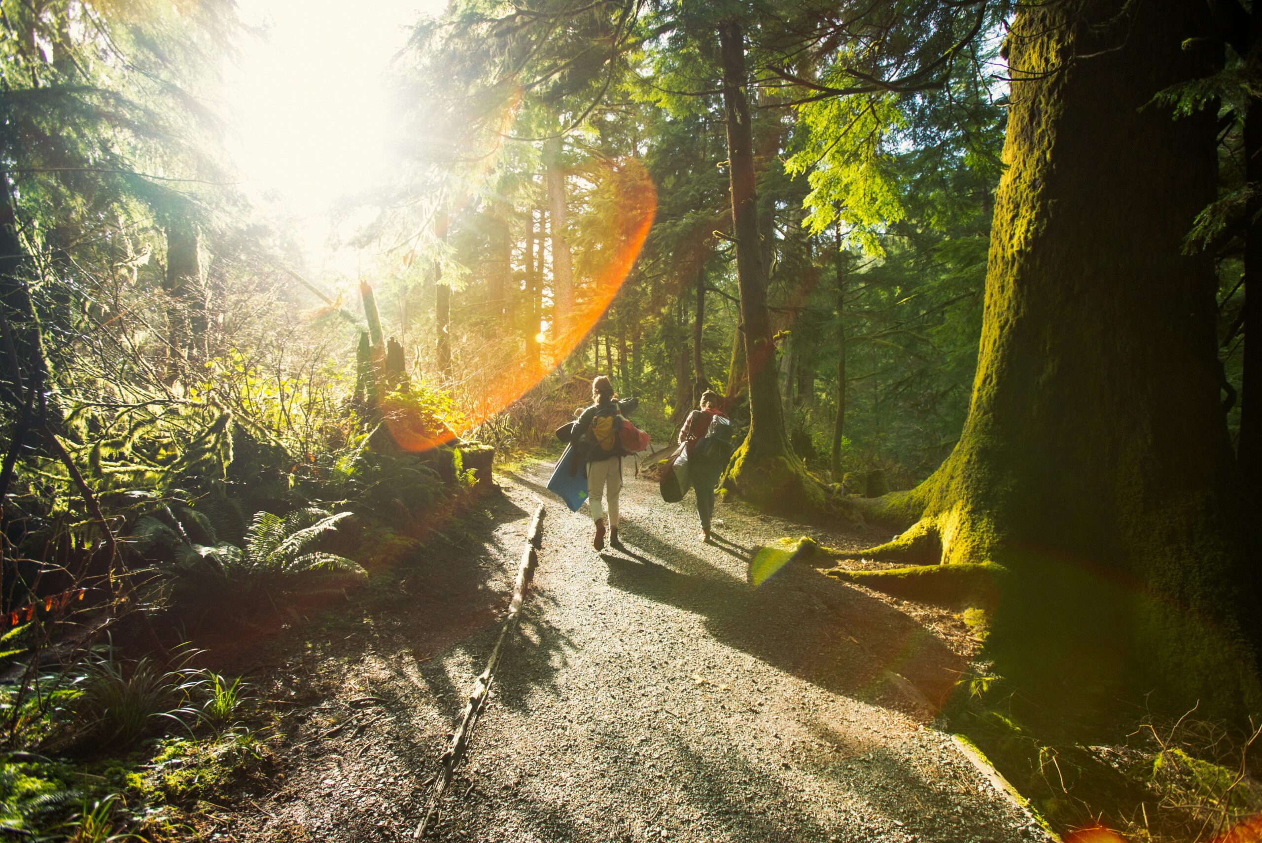 Adventure Travel Link Building: Outdoor and Experience Focus