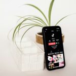 TikTok Influencer Marketing — How Brands Are Winning on the World’s Most Competitive Feed