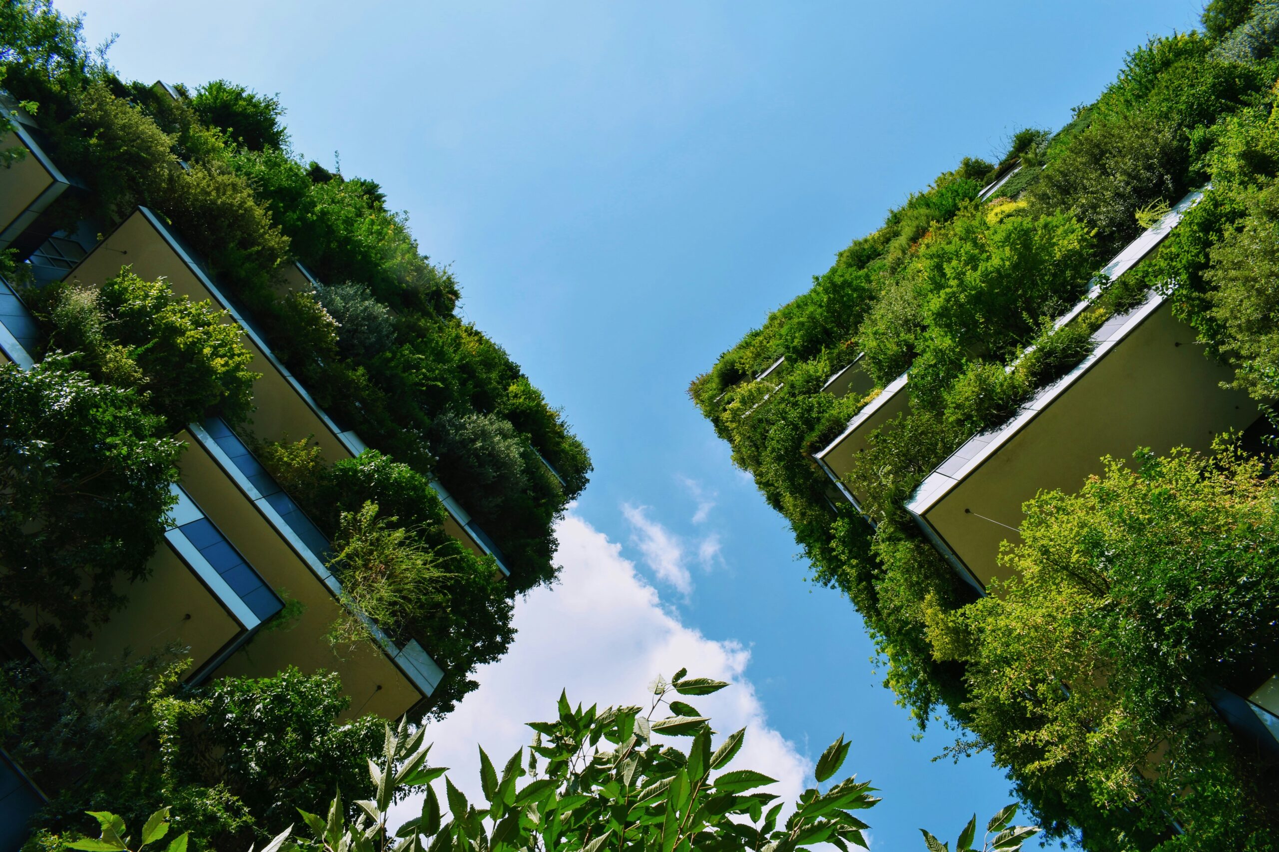 Influencer Marketing for Sustainability Brands: How Green Brands Win Through Creators